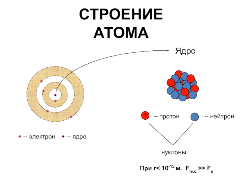 Схема строения неона