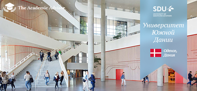 высшее образование в США