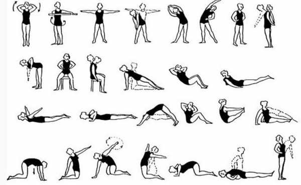 Основы Методики Занятия Физическими Упражнениями Реферат