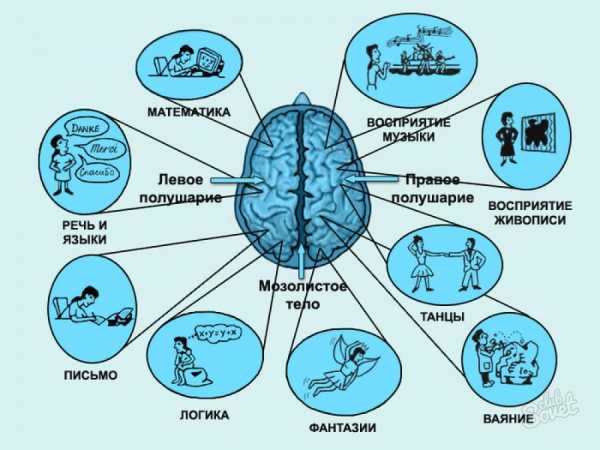 На рисунке представлена родословная семьи в которой встречаются люди лучше владеющие левой рукой