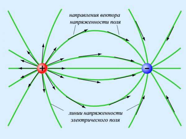 На рисунке указано положение магнитных линий поля