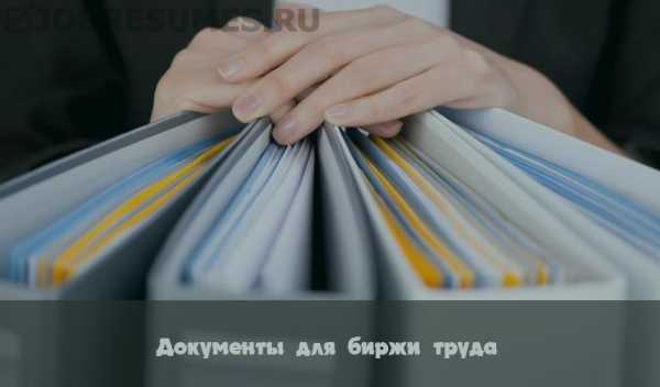 Номер биржи труда – Чем занимается биржа труда и занятости  биржа труда что это  Поиск работы - Санкт-Петербургское государственное бюджетное учреждение социального обслуживания населения