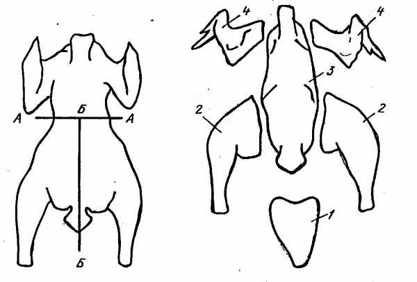 Разделка курицы на части схема