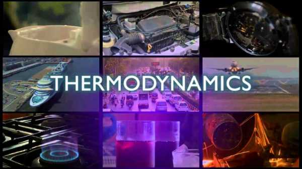 Реферат: Термодинамика в существовании биологических систем
