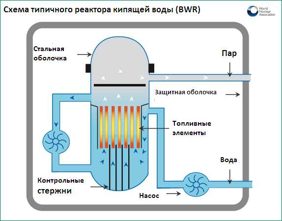 Схема ядерного реактора